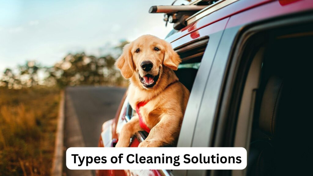 How To Clean Dog Drool Off A Car Interior