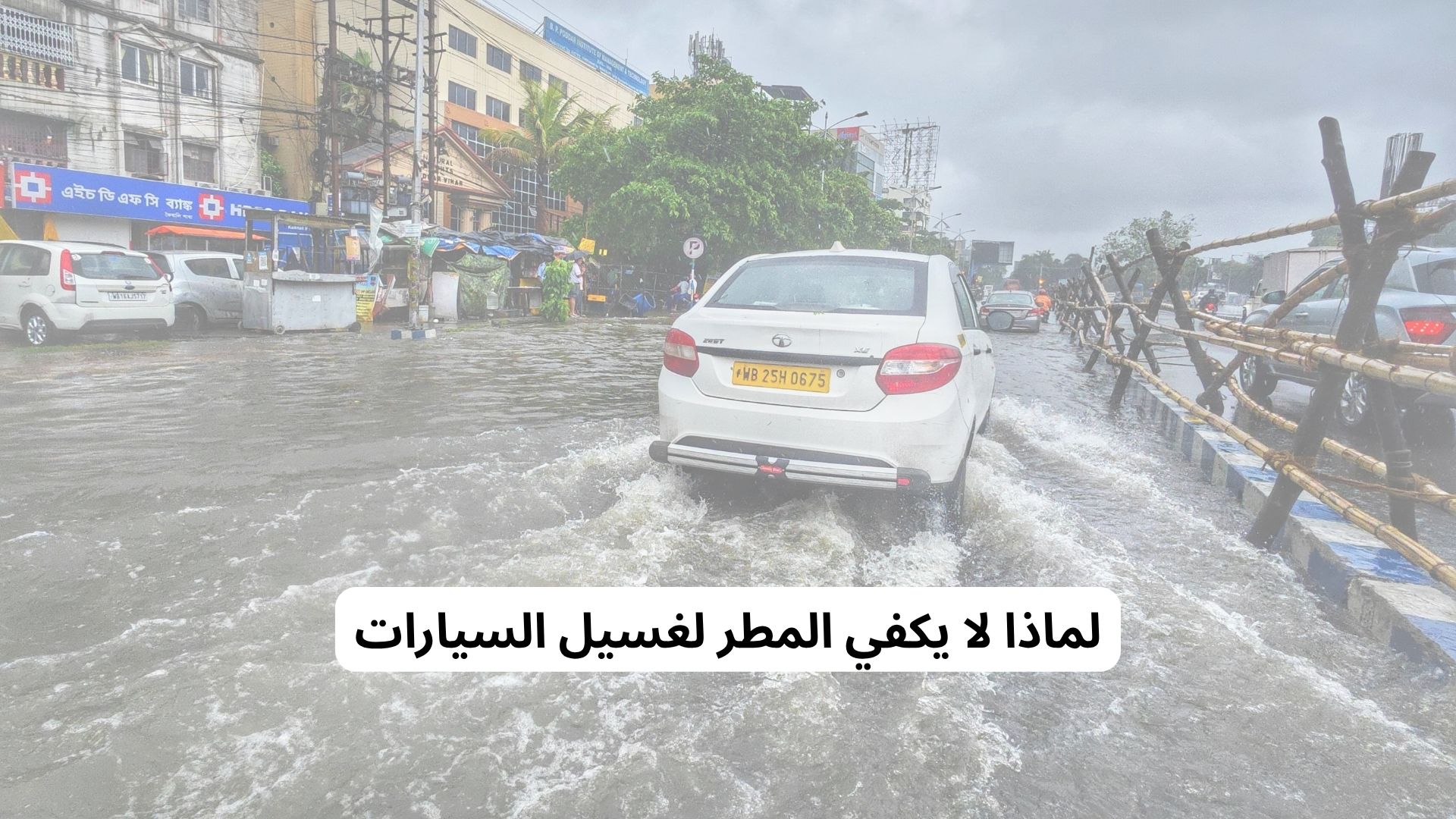 لماذا لا يكفي المطر لغسيل السيارات