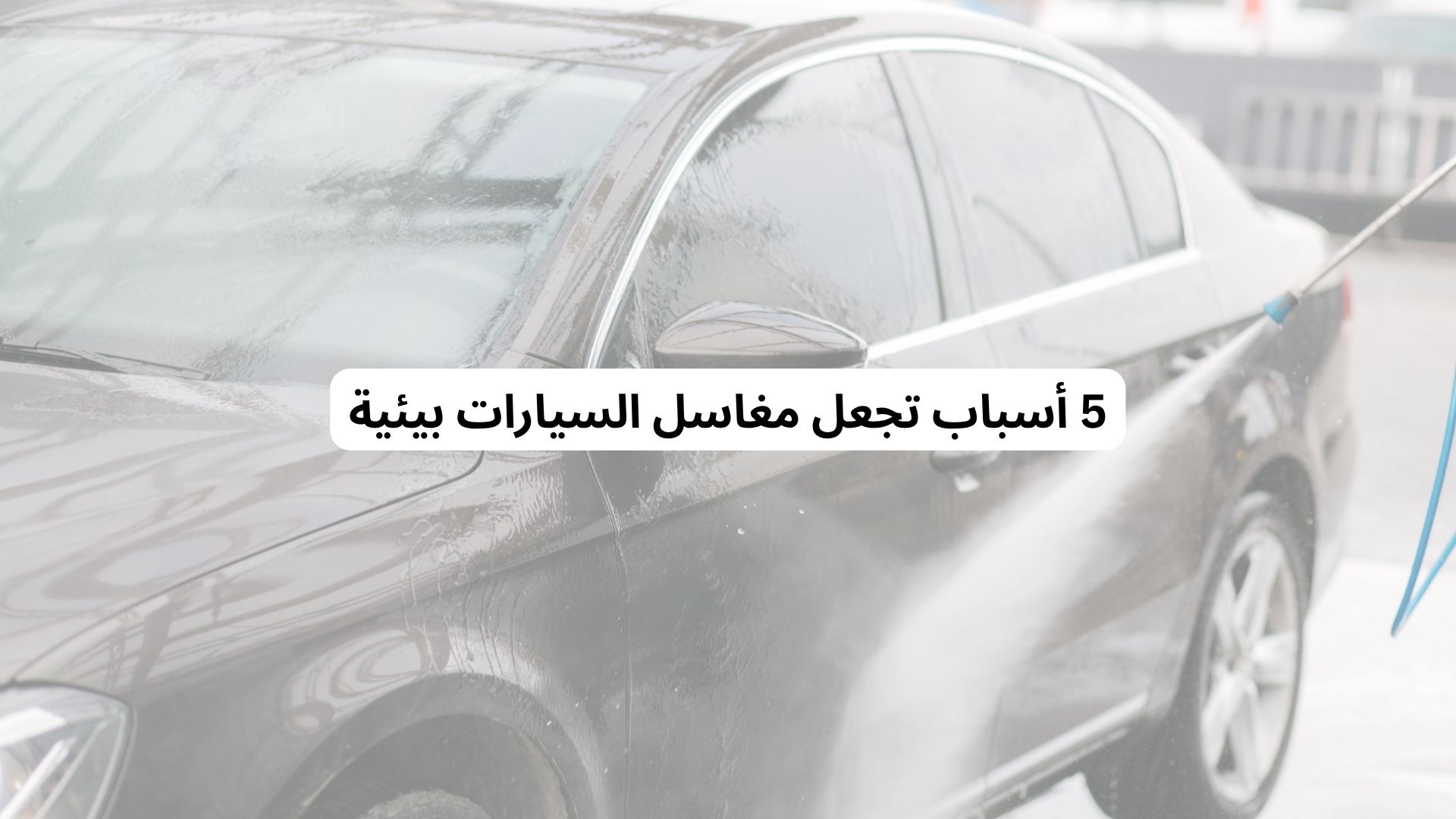 5 أسباب تجعل مغاسل السيارات بيئية