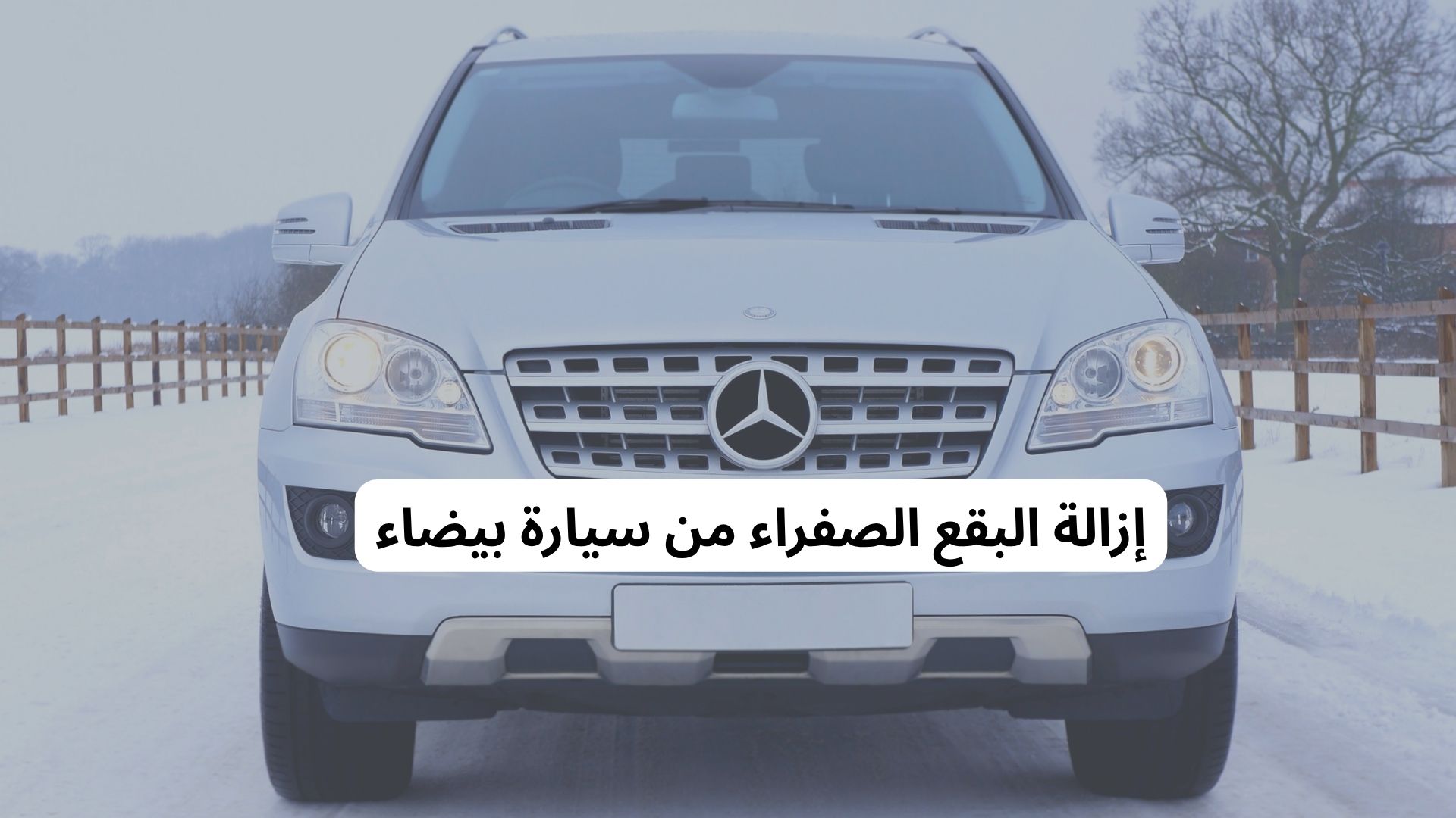 إزالة البقع الصفراء من سيارة بيضاء